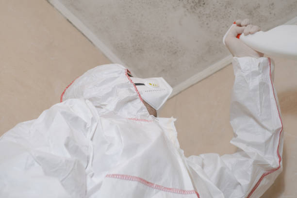 Best Home Mold Removal  in Grandville, MI